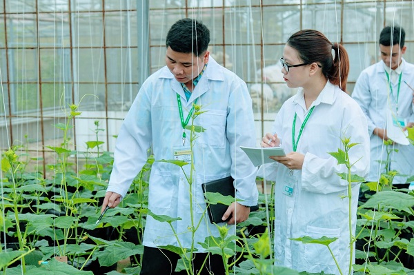 ảnh giới thiệu 1